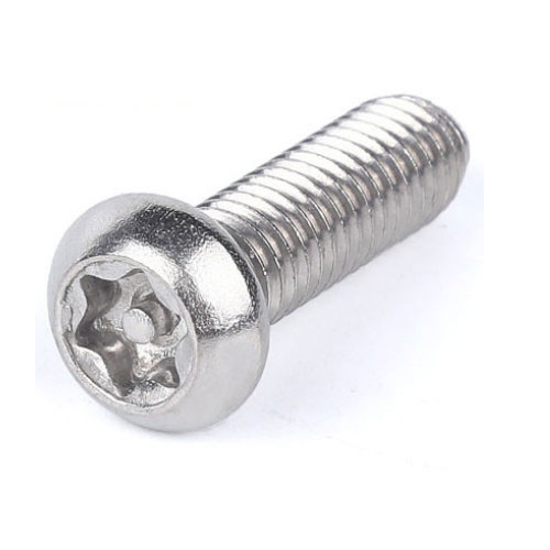 Maßgeschneiderte diebstahlsichere Pflaumen-Torx-Bolzenschraube